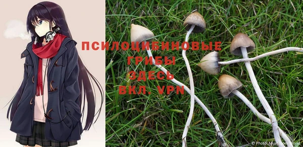 a pvp Алексеевка