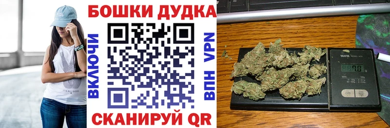 Шишки марихуана семена  kraken как войти  Кимовск 
